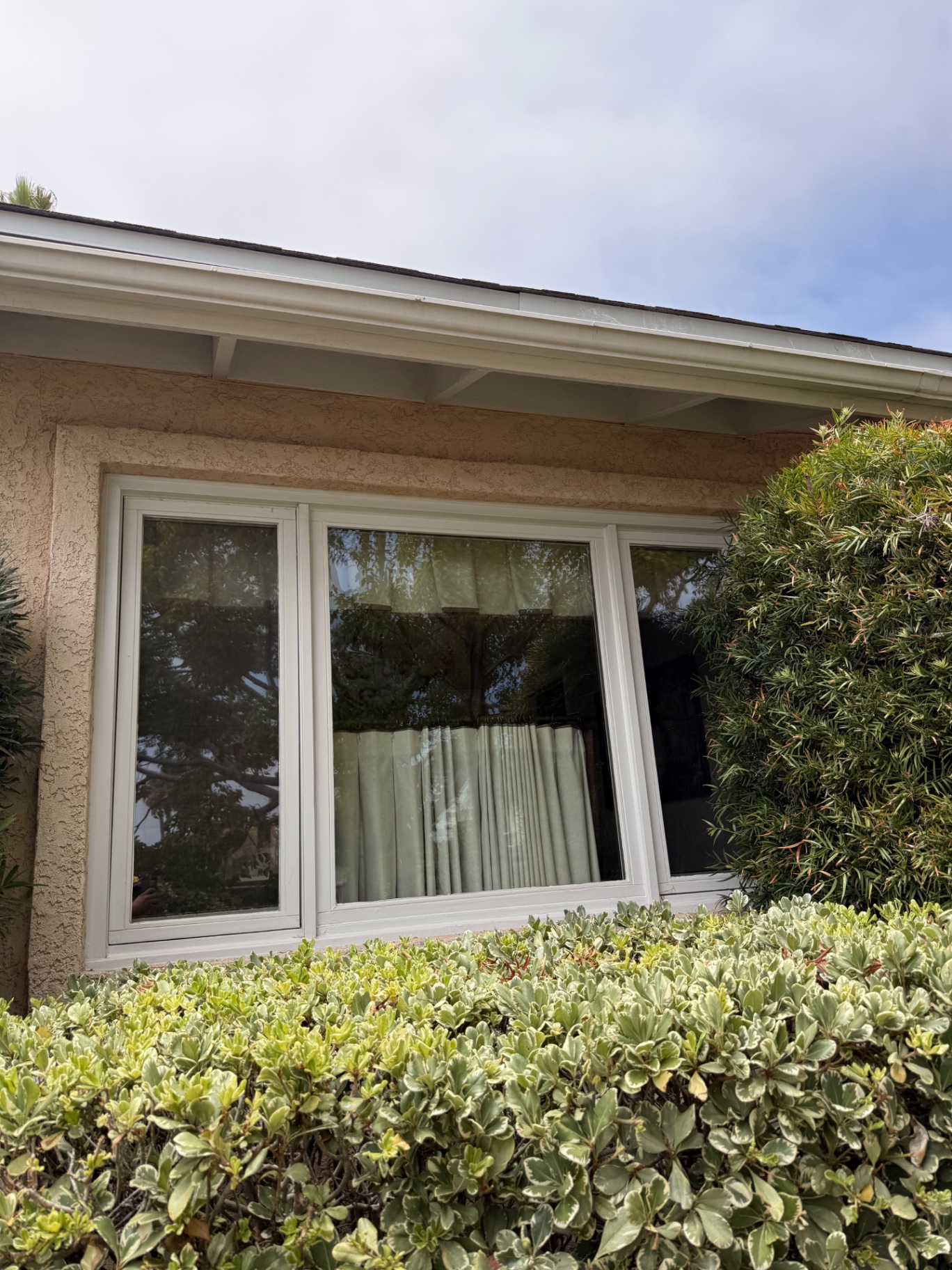 After — Residential windows